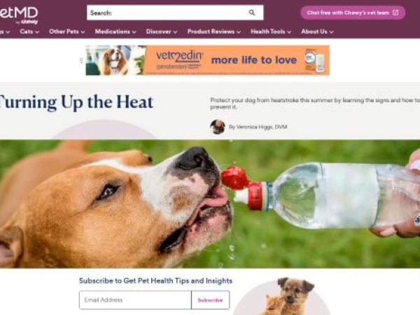 petmd.com